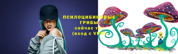 спайс Горнозаводск