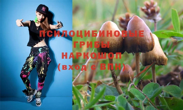 соль курить ск Горно-Алтайск
