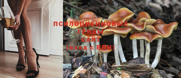 соль курить ск Горно-Алтайск