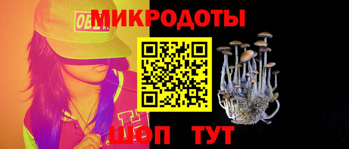 Галлюциногенные грибы прущие грибы  Галлюциногенные грибы прущие грибы  Вичуга 