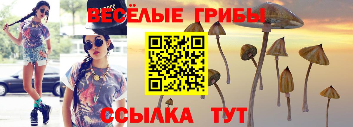 Псилоцибиновые грибы ЛСД  Псилоцибиновые грибы Psilocybine cubensis  где можно купить наркотик  Вичуга  Вход с VPN 